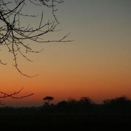 Gite Le Coucher De Soleil Plesse Экстерьер фото
