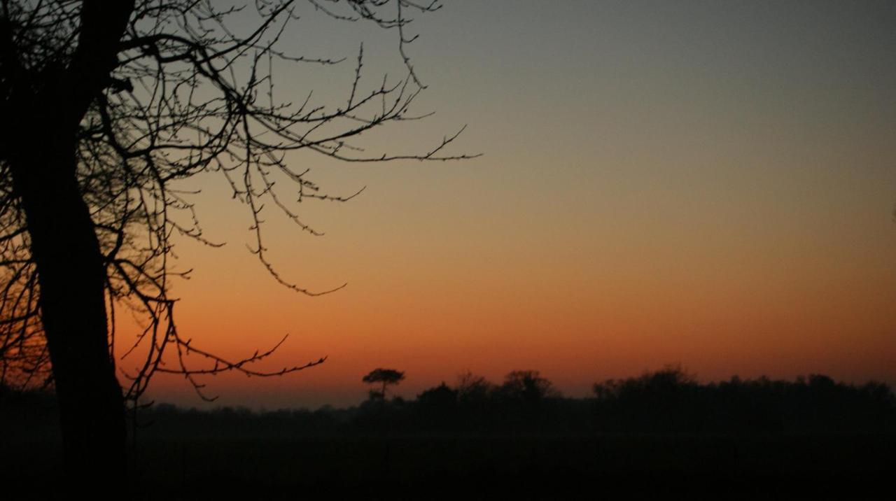 Gite Le Coucher De Soleil Plesse Экстерьер фото